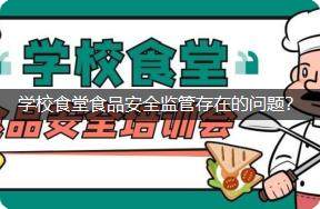 学校食堂食品安全监管存在的问题？