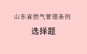 根据《山东省燃气管理条例》，下列哪项活动直接适用该条例的规定和要求？