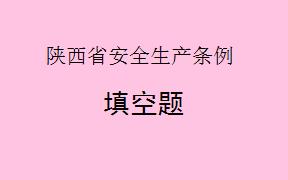 根据《陕西省安全生产条例》，生产经营单位的主要负责人应当___________。